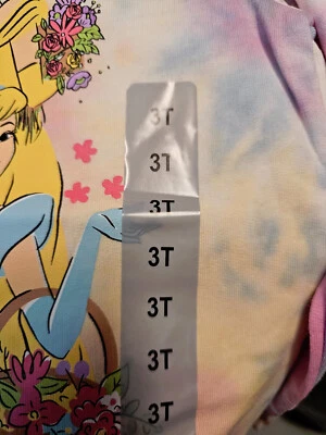 Moletom Disney Princesa Ariel Rapunzel Jasmim Snow Girl Kids 2 peças Tamanho 3T 4T - Imagem 1 de 4