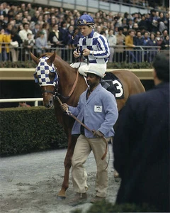 1973 Ron Turcotte SECRETARIAT Gotham Stakes Horse Racing 8x10 Photo Triple Crown - Picture 1 of 1