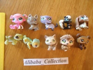 lot 10 LPS LITTLEST PETSHOP PET SHOP HASBRO chien herisson dog divers A - Imagen 1 de 6