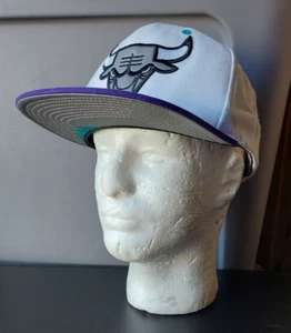 CHICAGO BULLS, NOSTALGIA CO./ MITCHELL & NESS NBA ADJUSTABLE CAP. RARE COLORS - Picture 1 of 10