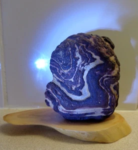 AMAZING UNIQUE NATURAL SUISEKI PIECE - " KAME ATAMA " - Picture 1 of 13
