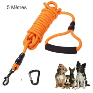Laisse de Dressage pour Chien 5m Corde Solide Poignée Rembourrée réfléchissant - Imagen 1 de 6