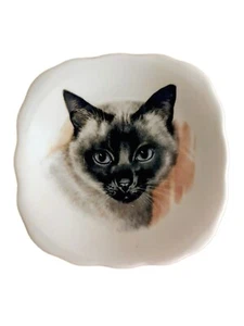 Vintage Siamese Cat Royal Trent StaffordShire England Plate 5" Fine Bone China - Picture 1 of 2
