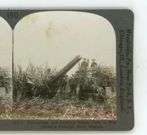 Cosecha y carga de maíz ensilado en WI Wisconsin Keystone Stereoview - Imagen 1 de 3
