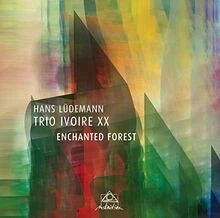 Enchanted Forest von Hans Lüdemann, Trio Ivoire XX | CD | Zustand sehr gut - Bild 1 von 2