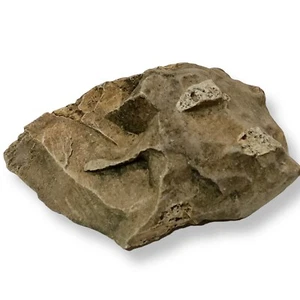 Jaula grande para reptiles terrario acuario roca pecera decoración piedra natural  - Imagen 1 de 5