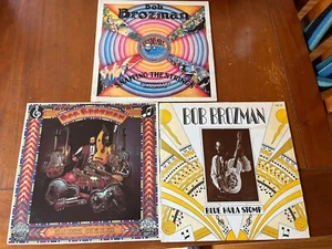 3 Jazz Lp Bob Brozman Blue Hula Stomp Dr. Jazz Snapping The Strings Signed Lot - Picture 1 of 6