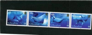 Gibraltar 2006 Fish Scott# 1037 Horz Mint LH - Picture 1 of 1