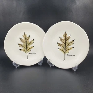 2 Opificio Etico Plates 9" Lunch Salad Dessert Autumn Fall Oak Leaf Cream Italy - Picture 1 of 19