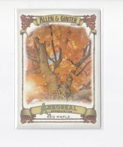 RED MAPLE 2021 ALLEN & GINTER ARBOREAL APPRECIATION INSERT CARD-SHIPS FREE - Picture 1 of 21