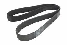 CONTITECH 12 PK 1835 V-Ribbed Belt OE REPLACEMENT