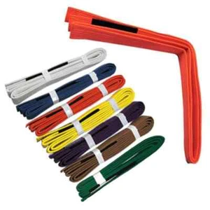 Brazilian Jiutjitsu Belts - Picture 1 of 20