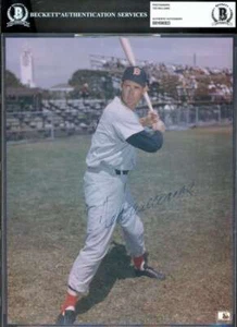 Ted Williams Beckett BAS Signed 8x10 Slabbed Photo Autograph Red Sox - Picture 1 of 2