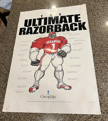 2008 “THE ULTIMATE RAZORBACK” Arkansas Razorbacks Football 36”x24” Poster HTF Cover