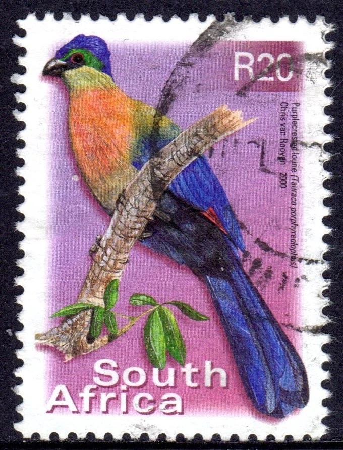 SOUTH AFRICA used     24/11 - Image 1 of 1