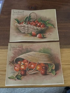 2-J. A. Morford & Van Derveer Trade Card-Alden Fruit-Long Branch, NJ.   U432 - Picture 1 of 2