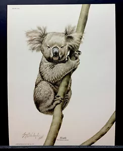 Guy Coheleach Limited Edition Hand Signed Print “Koala” - Picture 1 of 1