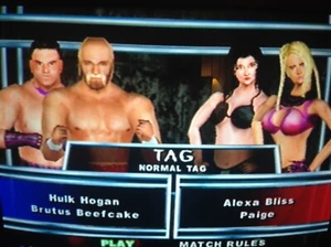 WWE SmackDown Here Comes the Pain *CUSTOM CHEAT CARD* PlayStation 2 Cheats PS2 - Picture 1 of 12