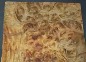 Camphor Burl Raw Wood Veneer Sheet 11.5 x 14.5 inches 1/42nd thick 4672-84 - Picture 1 of 7