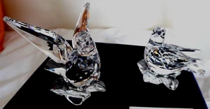Neu Swarovski Turteltauben Ornament nicht mehr im Karton 5004726 - Bild 1 von 8