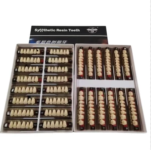 Dental Acrílico Resina Dental Dental Dentadura Dientes Superior Inferior Conjunto Completo Tono Anterior Posterior - Imagen 1 de 16