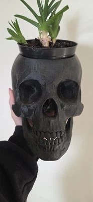 Maceta de calaveras, florero de calaveras negro flor/suculenta/hierba maceta Foto 1 de 4