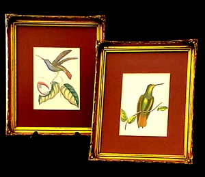 VTG. RENE P. LESSON HUMMINGBIRD ENGRAVINGS - SET OF 2 BEAUTIFULLY MATTED/FRAMED - Picture 1 of 8