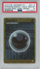 Auction Prices Realized Tcg Cards 2014 Pokemon Japanese XY Promo M