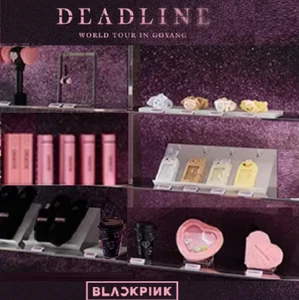 BLACKPINK DEADLINE World Tour OFFICIAL Keyring Socks *US-duty Paid - Picture 1 of 42