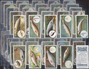 WILLS-FULL SET- FISH & BAIT 1910 (50 CARDS) EXCELLENT - Picture 1 of 1