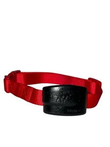 Ricevitore DogWatch R12 con collare - Foto 1 di 4