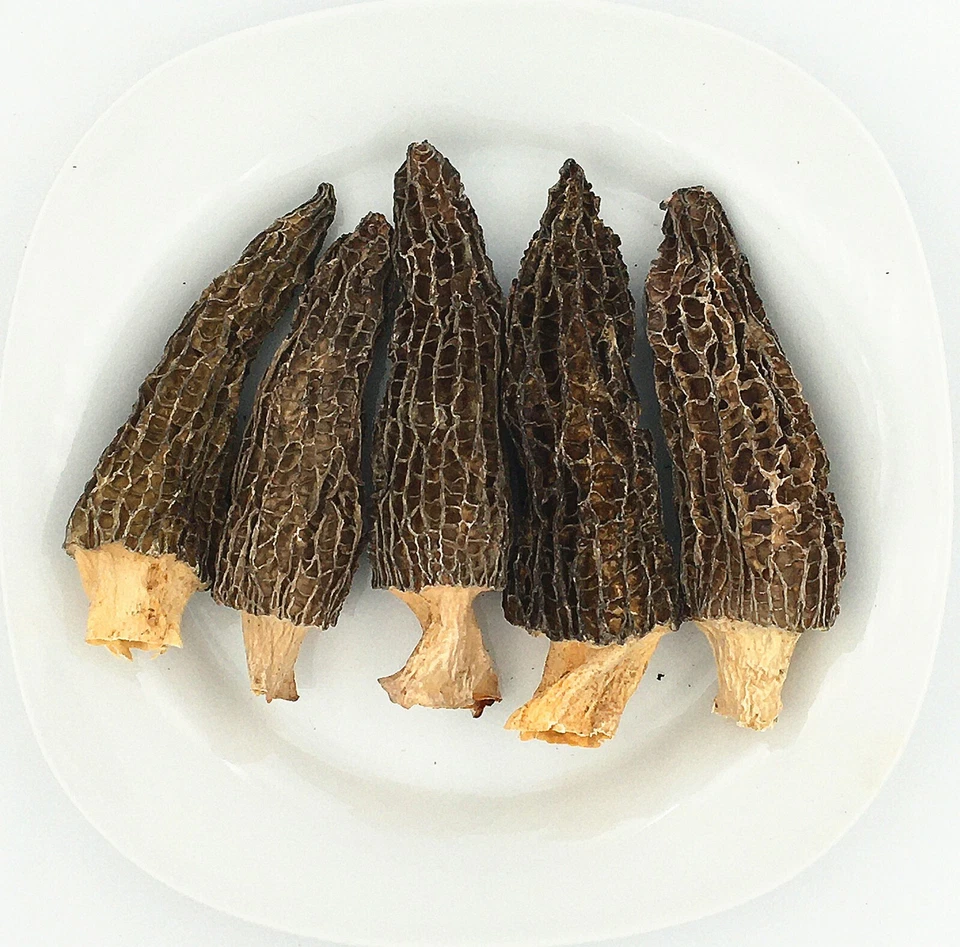 Greenlike Top Grade Dried Wild Morel Mushroom  野生 羊肚菌  - Image 1 of 1