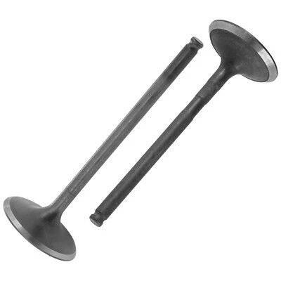 Intake & Exhaust Valve for Arctic Cat Bearcat 5000 XT 2015 / 3007-784 3007-860 - Image 1 of 4
