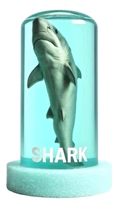 Echter Hai in einer Glasflasche Glas Präparat Taxidermie Tisch Skulptur Souvenir🎈 - Bild 1 von 1