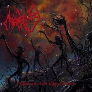 FRAGMENTS OF THE EDGE OF SORROW - Picture 1 of 1