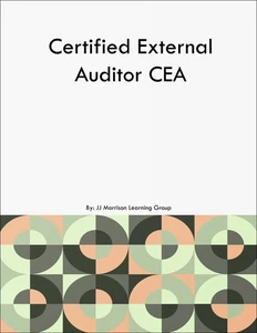 Certified External Auditor CEA - Picture 1 of 1