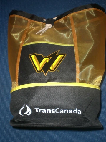 Baseball Beach Bag West Virginia Power Beach Bag & Cooler with Straps MiLB Cover