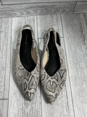 Planos planos chinos de piel de serpiente con 8 puntera puntiaguda de lavandería para mujer usados Foto 1 de 4