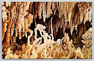 Postcard Python's Den Caverns of Sonora Texas Karst Geology Spelunking - Picture 1 of 2