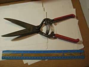 Vintage CORONA Lawn Clipper Grass Shears GS 3770 #B - Picture 1 of 6