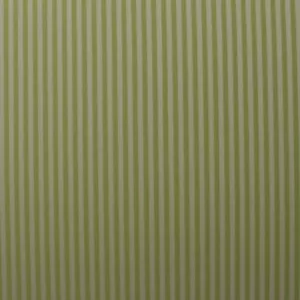 WOVEN STRIPE PASTEL GREEN AND WHITE MULTIPURPOSE FURNITURE FABRIC BY YARD 56"W - Picture 1 of 4