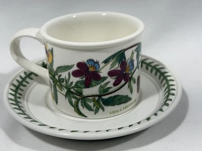 Portmeirion植物园中提琴三色英格兰鼓平茶杯6盎司和碟子 — 第 1/4 张图片