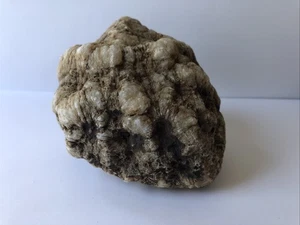 Geode Unbroken Quartz Crystal, 2 Pounds, 3 Ounces, Indiana Dug, Crystals Inside - Picture 1 of 8