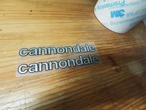 Cannondale SR ST 1985 set decalcomanie tubo superiore X2 argento adesivi adesivo - Foto 1 di 5