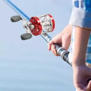 Round Baitcasting Reel, Conventional Reel for Catfish, Baitcasting Fishing Reel - Picture 1 of 19