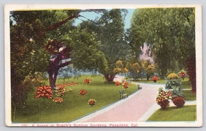 A Scene in Busch's Sunken Gardens Pasedena California CA Postcard - Picture 1 of 2