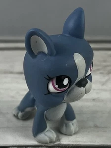 Littlest Pet Shop LPS #1025 Blue White Boston Terrier Purple Eyes - Picture 1 of 7