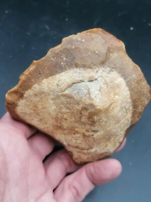 France Lower Paleolithic Beautiful Acheulean Scraper Famous place Wimereux - Image 1 of 4