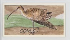1990 Brooke Bond A Journey Downstream Tea The Curlew #22 0y5