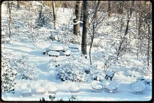 Vintage 1947 Kodak Ektachrome 35mm Slide Snowy Garden Winter Scene - Picture 1 of 4